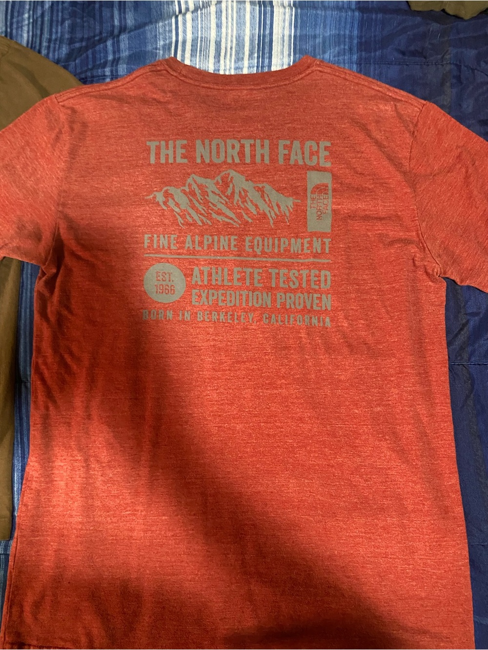 The North Face Men’s Brown Graphic Tee & Red Crew Short Sleeve Set - Picture 4 of 7